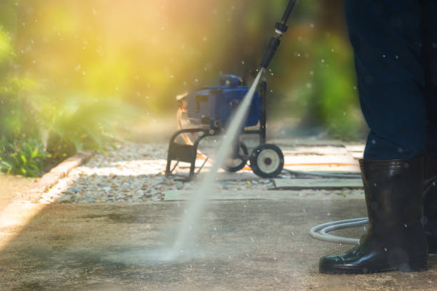 Best Solar Panel Cleaning  in Albany, MN